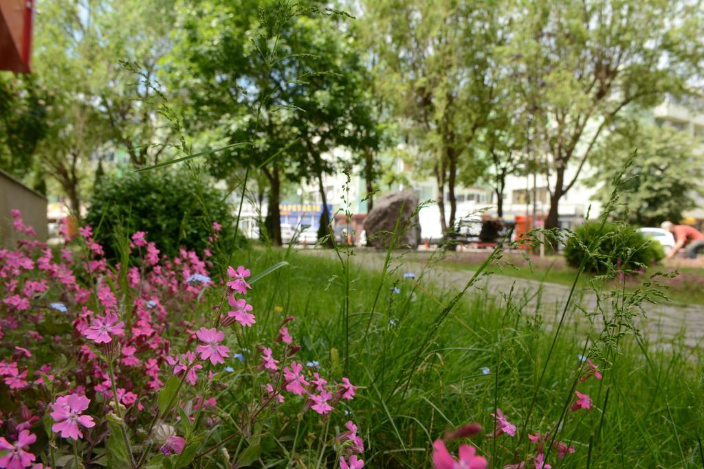 Hotel Select Tulcea